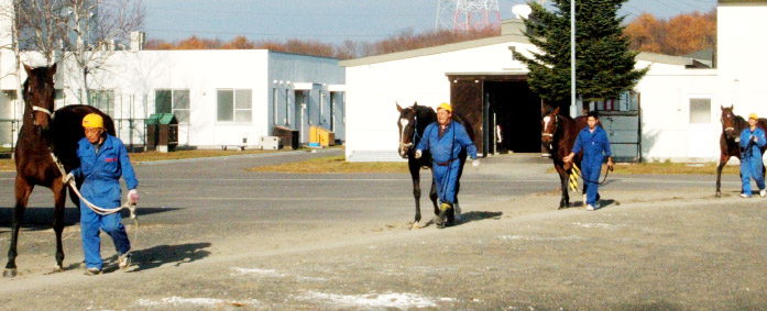 Quarantine Control Business